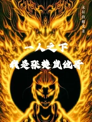 《一人之下,我是张楚岚他哥》小说封面
