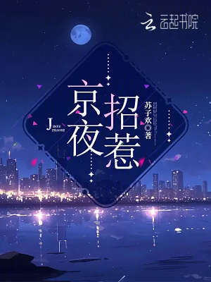 《京夜招惹》小说封面