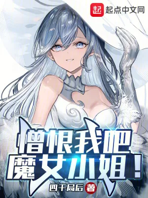 《憎恨我吧，魔女小姐！》小说封面