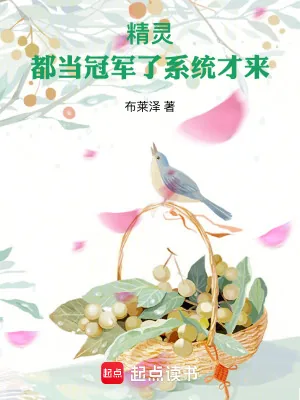 《精灵:都当冠军了系统才来》小说封面