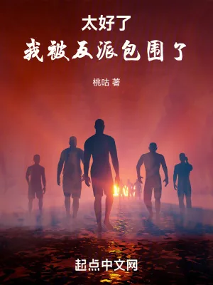 《太好了,我被反派包围了》小说封面