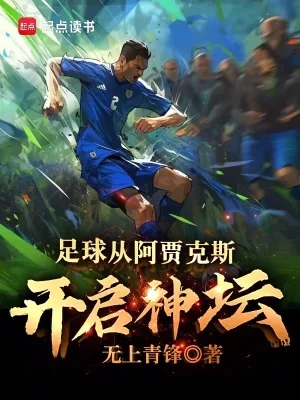 《足球:从阿贾克斯开启神坛》小说封面