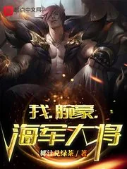 《我,腕豪,海军大将》小说封面