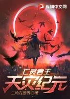 《亡灵君主:天灾纪元》小说封面