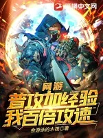 《网游:普攻加经验,我百倍攻速》小说封面