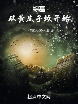 《综墓:从黄皮子坟开始》小说封面