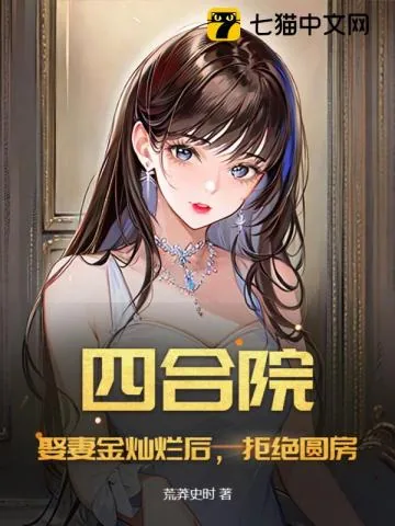 《四合院:娶妻金灿烂后,拒绝圆房!》小说封面