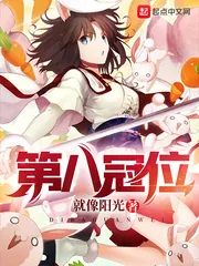 《第八冠位》小说封面
