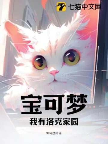 《宝可梦:我有洛克家园》小说封面