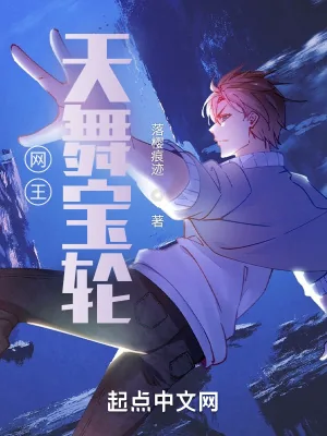 《网王:天舞宝轮》小说封面