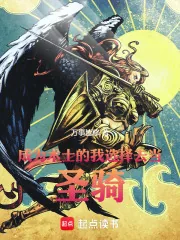 《成为术士的我选择去当圣骑!》小说封面