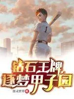 《钻石王牌:逐梦甲子园》小说封面