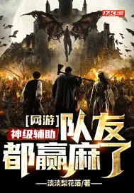 《网游:神级辅助,队友都赢麻了》小说封面