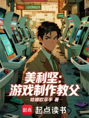 《美利坚:游戏制作教父》小说封面