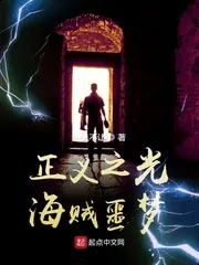 《正义之光:海贼噩梦》小说封面