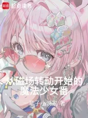 《从磁场转动开始的魔法少女番!》小说封面
