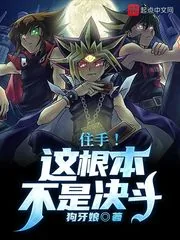 《住手!这根本不是决斗!》小说封面