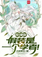《在须弥,假装是一个学者!》小说封面