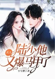 《夫人,陆少他又爆马甲了》小说封面