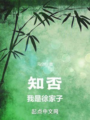 《知否:我是徐家子》小说封面